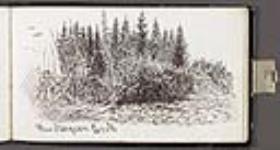 près de Sturgeon Creek juillet - août 1862