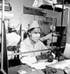 Des ouvrières des laboratoires Connaught ajoutent de la pénicilline dans des fioles de solution de sel de sodium aux dernières étapes de préparation de la pénicilline avant expédition. juin 1944