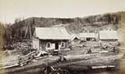 Backwoods Farm. ca. 1869