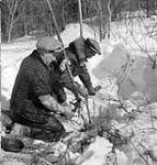 A trapper and his brother, Noah, preparing a beaver trap  Mar. 1948.