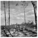 Cemetery. n.d.