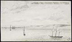 Cape Cod, Southern Portion, U.S. America. November 17, 1879