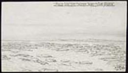 Field Ice off Dover Bay, Nova Scotia. March 21, 1882