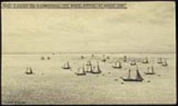 Cod fishing on Banquereau off Nova Scotia 6th August 1900. August 6, 1900