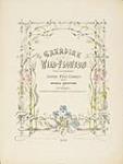 Frontispiece of "Canadian Wild Flowers" ca. 1869.