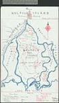 [Walpole Island Reserve no. 46]. Plan of Walpole Island Indian Reserve, Ont. [cartographic material] 1915.