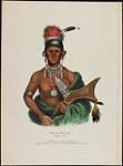 Ap-Pa-Noo-Se, Saukie [sic] Chief. 1838.