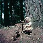 Little girl bottle feeds baby deer. July 1953