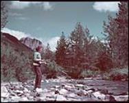 Frances Barraclough of Calgary, Alta, fishing in Cameron Creek, Waterton Lakes National Park, Alberta.  1949.