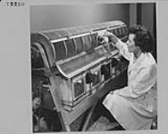 Miss Lise Farley performing stress test on rats at Experimental Medicine Division, University of Montreal. May 1955