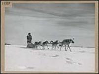 Un homme cri dans un traîneau avec un attelage de chiens traverse le lac la Ronge pour aller loin dans le nord de la Saskatchewan pêcher sur la glace, au lac la Ronge  mars 1945