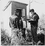 Three Aboriginal men standing outside small shack, reading from ledger. [ca. September 1965]