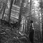 Anna Brown reading a trail sign, possibly in Garibaldi Park, British Columbia  August 21-25, 1954.
