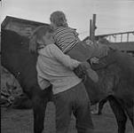Femme aidant un enfant sur un cheval, randonneurs, William Lake, Colombie-Britannique [ca1954-1963]