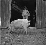 Helen Salkeld at the family farm, Lucknow, Ontario  September 4, 1954.