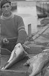 Gaspé 1951, (E) homme qui nettoie le poisson 1951