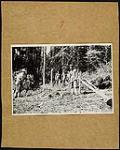 CNR - Photographs from the Canadian Land Settlement Association - Abitibi Region - Quebec [graphic material] n.d.