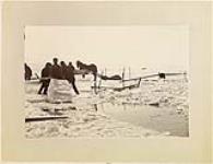 Collecting Ice. ca. 1884