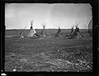 Cree Camp at the elbow of the North Saskatchewan River Sept. 1871