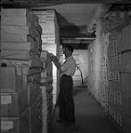 Jim Bryson at the Chief Electoral Office, checks enumerators' books prior to shipment to returning officers across Canada. May 1952