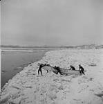 An ice canoe race. 1957