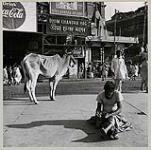 Une rue en Inde. 1962