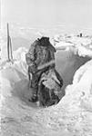 [Helen Konek at Akuniyuaq, which is also known Saningayuyuaq]  [between 1949-1950].