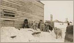 [Sled dogs in Nain, Nunatsiavut (Labrador)]. [between 1921-1922]
