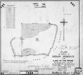 Plan of survey of Indian Reserve No. 36, Lake of the Woods, as surveyed under instructions from...the Supdt. General of Indian Affairs, dated June 8th, 1881, by A.H. Vaughan, D.L.S....Selkirk, 18th Feb., 1884....