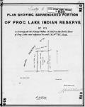 Treaty 6. Plan showing surrendered portion of Frog Lake Indian Reserve No. 121 in exchange for the Fishing Station I.R. No.  121A on the south shore of Frog Lake and adjacent to said I.R. No. 121, Sask. Surveyed...summer season 1907, J. Lestock Reid, D.L.S.
