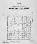 Plan showing subdivision of portion of Indian Reserve No. 100A, Township 46, Range 20, W. 2nd M. Treaty No. 6, N.W.T. J. Lestock Reid, D.L.S., February 1903. [2 copies/2 exemplaires]