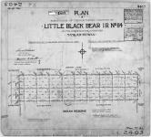 Plan of subdivision of the northern portion of Little Black Bear I.R. No. 84 in Tps. 23 & 24, Rgs.  10 & 11, W. 2nd Mer., Saskatchewan. Surveyed by D. Alpine Smith, D.L.S., 1928. [2 copies/2 exemplaires]