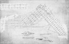 Plan showing the posts renewed in The Pas townsite by W.R. White, 1919....  [Additions 1920/Additions en 1920]
