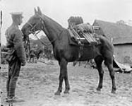 Pack horse (Fort Garry Horse). June, 1916 June, 1916