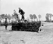 Jumping competition (Canadian Corps Horse Show - Reningelst, Belgium). 1st prize, Lt. Geo. Roels, Belgian Officer. July 19, 1916 July 19, 1916