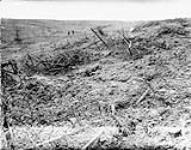 German wire, demolished by artillery. July, 1916 July, 1916