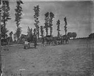 (Sports - Corps Cavalry Regiment) Saddle Race. August, 1916 Aug., 1916.