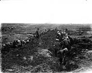 Making a road to Pozières Cemetery. September, 1916 Sep., 1916.