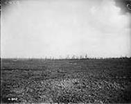Village and battlefield of Courcelette. October, 1916.