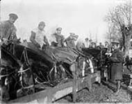 Watering Canadian Artillery horses at the front. November, 1916 Nov., 1916.