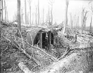 A captured German gun emplacement in Farbus Wood. April, 1917 Apr., 1917.