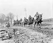 Mule team drawing ammunition on light railway track near Petit Vimy, April 1917 Apr. 1917