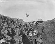 H.M. Pigeon Service. The pigeon leaving the trench. May, 1917 May, 1917.