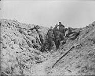 Canadians in old Boche trench on Hill 70. August, 1917 Aug., 1917.