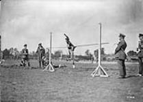 A Canadian who won the high jump at a sports meeting held behind the lines. September, 1917 Sep., 1917.