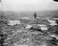 Terrain boueux et barbelés que les Canadiens ont traversés durant la bataille de Passchendaele November, 1917.