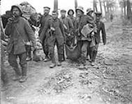 Prisoners bringing in their wounded in blankets. Battle of Amiens August, 1918.