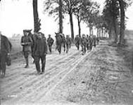 German prisoners captured by Canadian Cavalry. Battle of Amiens. August, 1918 August, 1918.