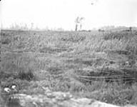 Canadians advancing through swamps near River Sensee. Advance East of Arras. August, 1918 August, 1918.