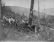 Canadian Forestry Corps Company H.Q. in woods. February, 1919 Feb., 1919